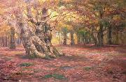 Otto Hennig Gammel bokeskog oil painting